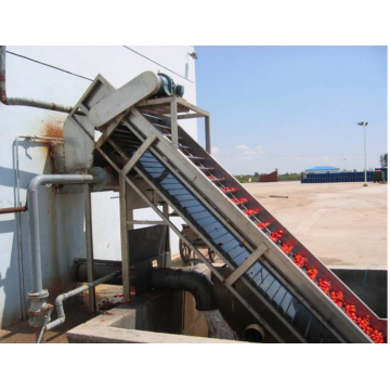 Automatic Tomato Processing Line